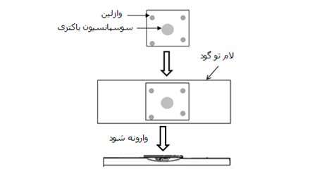 اثر تلقیح باکتری ریزوبیوم بر محصولات کشاورزی، جلسه سوم