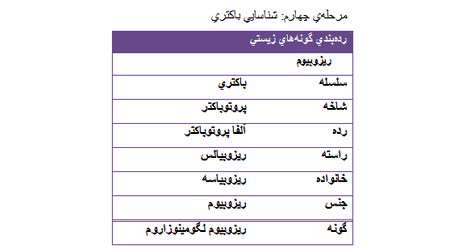 اثر تلقیح باکتری ریزوبیوم بر محصولات کشاورزی، جلسه سوم