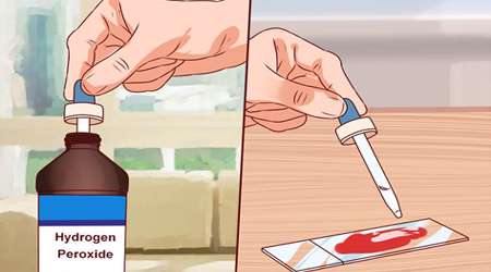 مشاهده فعالیت آنزیم كاتالاز در گیاهان مختلف، جلسه دوم