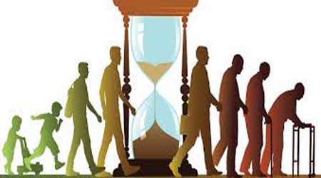 مشاهده فعالیت آنزیم كاتالاز در گیاهان مختلف، جلسه اول
