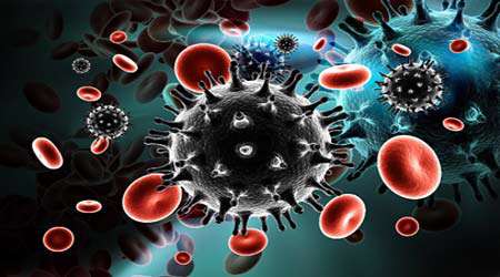 بررسی تكامل ویروس hiv به كمك ابزار های بیوانفورماتیك