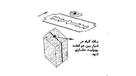مشاهده میکروسکوپی سلول های گیاهی و جانوری، جلسه اول