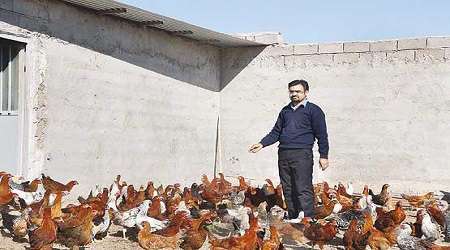 جوان کار آفرین و بازگشت به آغوش گرم روستـا