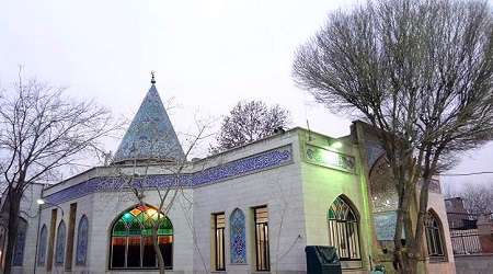 کهنسال ترین موجود زنده تهران