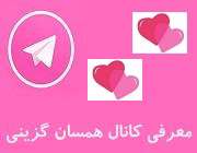 معرفی کانال همسان گزینی معرفی کانال همسان گزینی