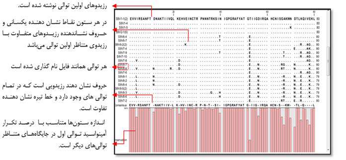 بررسی تكامل ویروس hiv به كمك ابزارهای بیوانفورماتیك، جلسه سوم