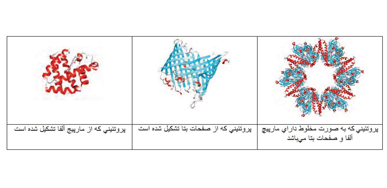 آشنایی با بانك پروتئین، جلسه اول
