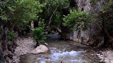 راهنمای سفر به کهکیلویه و بویر احمد