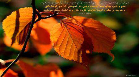 ادب