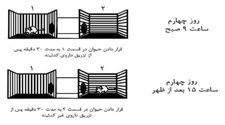 اثر اعتیاد آوری داروهای كدئین دار در موش، چلسه چهارم