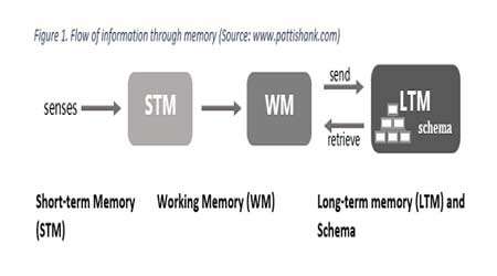 حافظه و یادگیری (1)