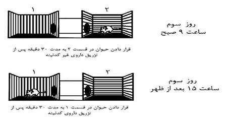 اثر اعتیاد آوری داروهای كدئین دار در موش، چلسه چهارم