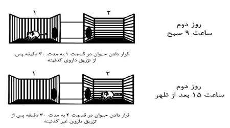 اثر اعتیاد آوری داروهای كدئین دار در موش، چلسه چهارم