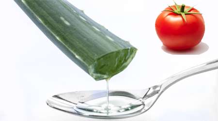 گوجه فرنگی و ژل آلوئه ورا
