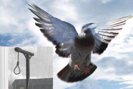 حسین ونکی