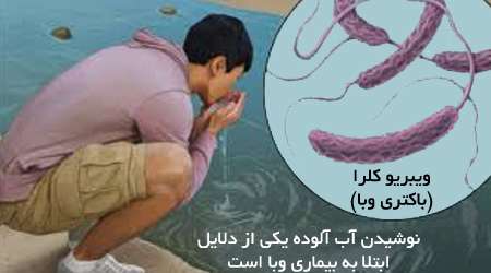 وبا در فصول گرم شایع می شود وبا در فصول گرم شایع می شود