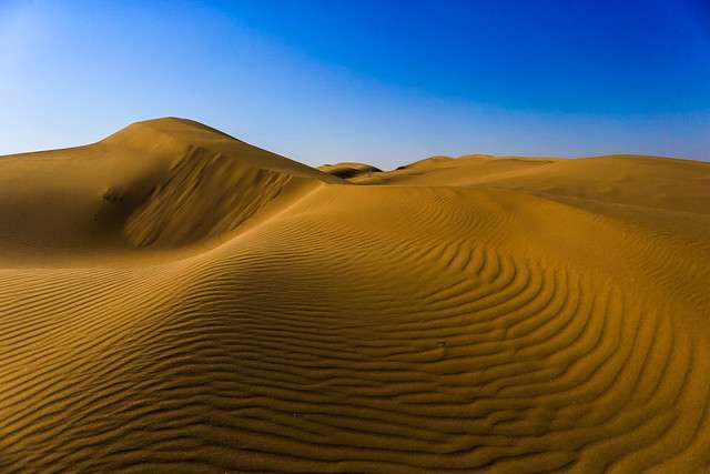 رنج مرنجاب از بیتوجهی رنج مرنجاب از بیتوجهی
