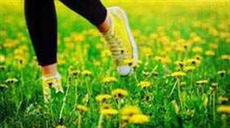 شگفتی های جهان