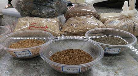 استفاده از ضایعات گیاهی در صنایع چوب، دستاورد برتر دوره دوم دبیرستان تزکیه در بخش غرفه
