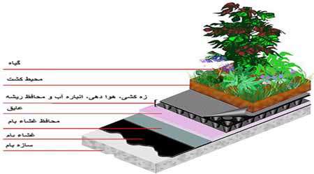 توسعه بام های سبز در ایران - جلسه ششم