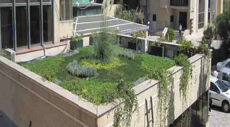 توسعه بام های سبز در ایران - جلسه هشتم