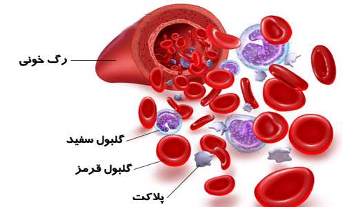 دردسرهای کاهش پلاکت خون دردسرهای کاهش پلاکت خون