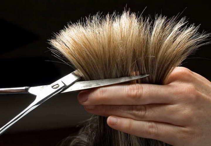 سلامت مو، مو، موخوره، آرایشگر، ریشه مو، رشد مو، نرم کننده ، سلامت مو