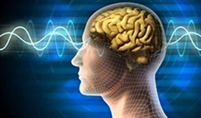 تولید تراشه با قابلیت تقلید از مغز انسان تولید تراشه با قابلیت تقلید از مغز انسان