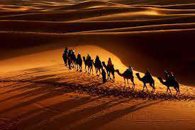 گول نخوریم ؛ امام حسین در زمین پر آب و جلگهای جنگید!