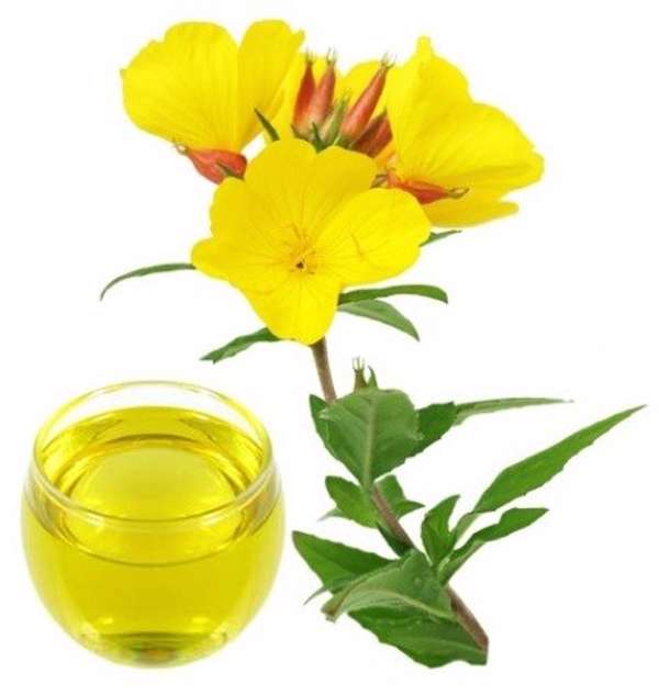 گیاهی برای کاهش درد قاعدگی گیاهی برای کاهش درد قاعدگی