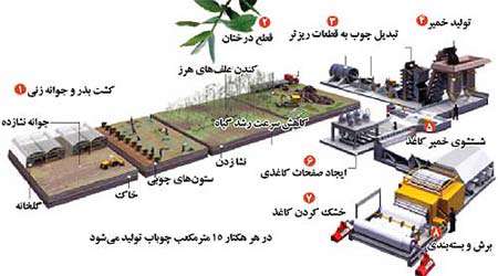 کاغذ سنگ