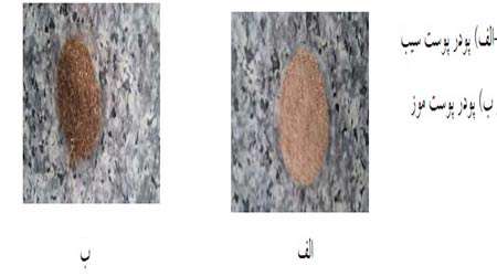 تهیه کود گیاهی با استفاده از نانو تفاله چای تثبیت شده