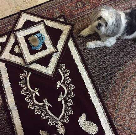 سگ و سجاده نماز
