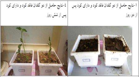 تهیه کود گیاهی با استفاده از نانو تفاله چای تثبیت شده