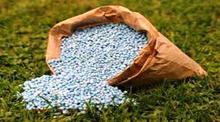 تهیه کود گیاهی با استفاده از نانو تفاله چای تثبیت شده