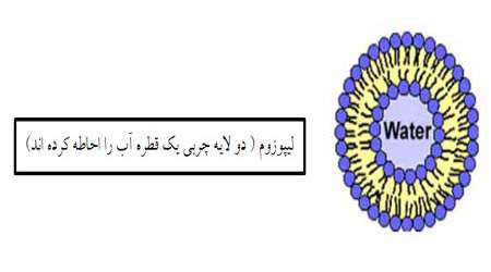 کاربرد نانو کپسول