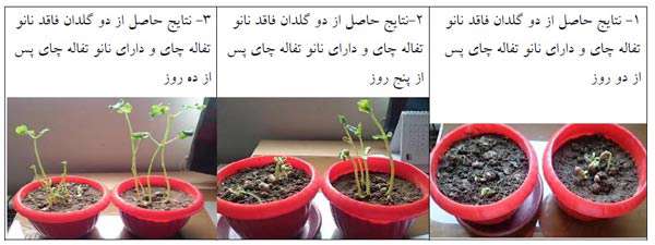 تهیه کود گیاهی با استفاده از نانو تفاله چای تثبیت شده