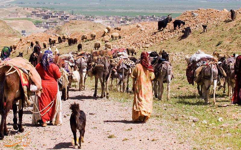 ایل قشقایی