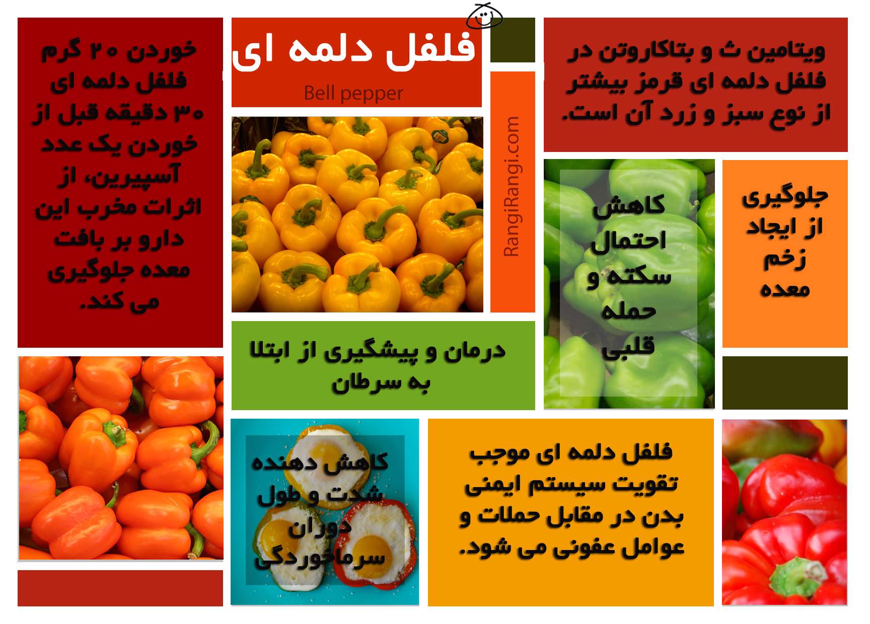خواص فلفل دلمه