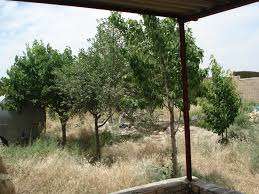 روستای پرکندآباد مشکلات