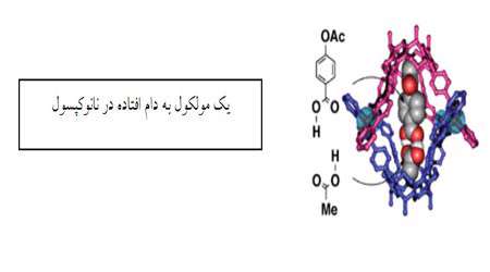 کاربرد نانو کپسول