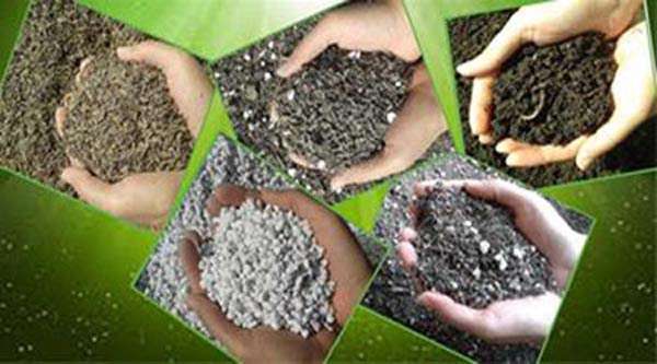 تهیه کود گیاهی با استفاده از نانو تفاله چای تثبیت شده