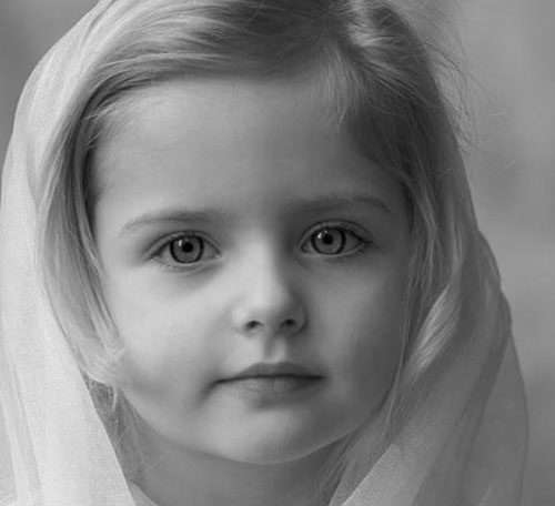 سفیدی مو، تغذیه، سلامت روان، ژنیتیک، سلامت