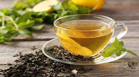 تهیه کود گیاهی با استفاده از نانو تفاله چای تثبیت شده
