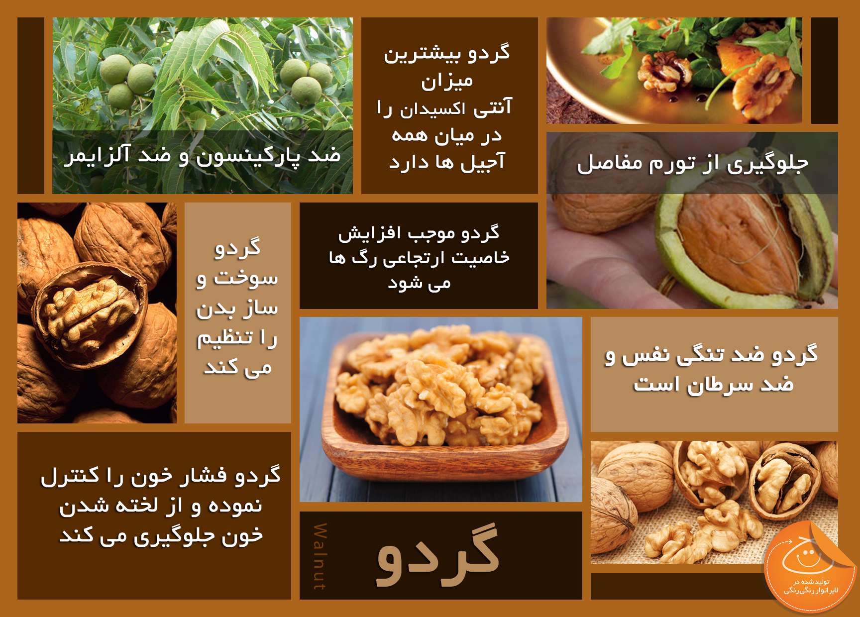 خواص گردو