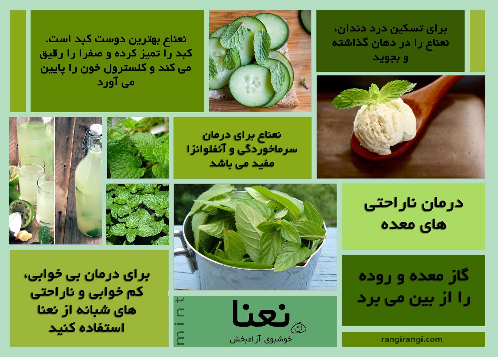 خواص نعنا