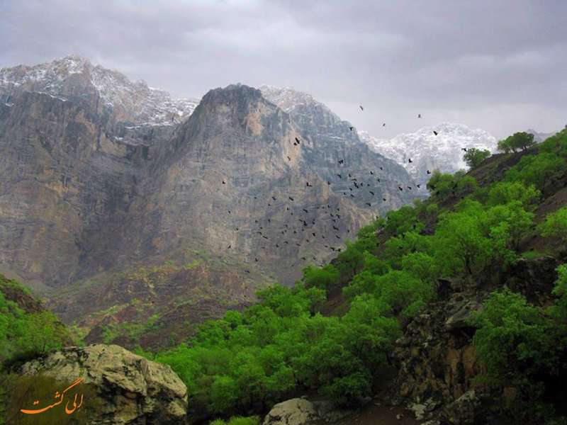 دره عشق