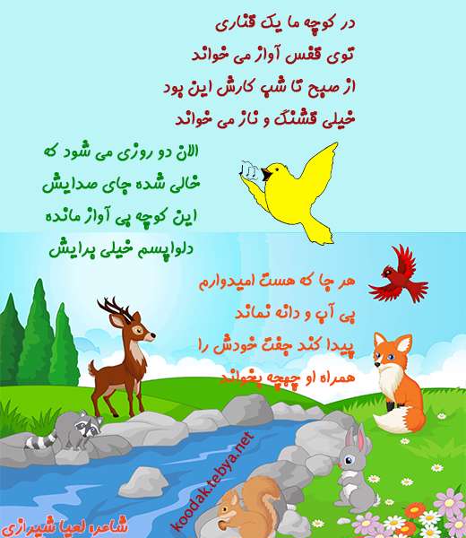 قناری