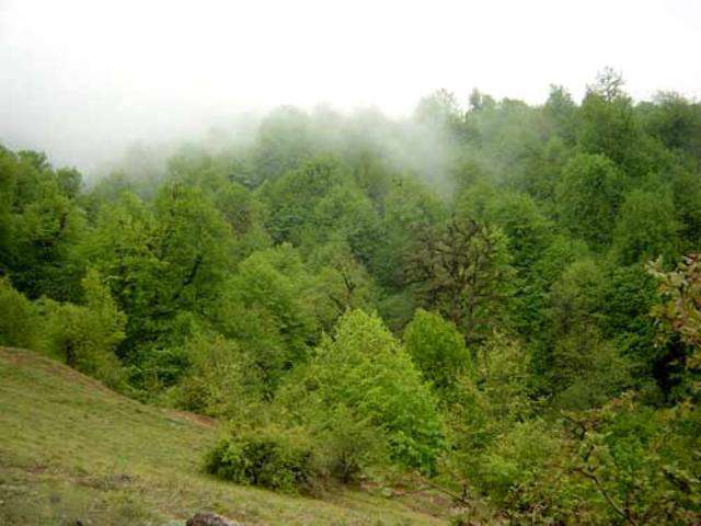 منطقه چلچی گرگان