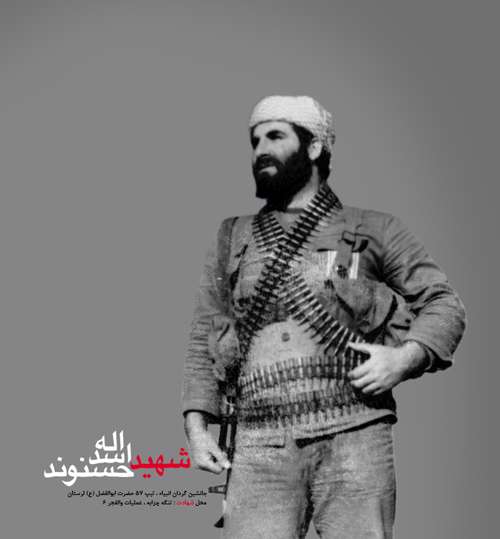 پرستوی مهاجر